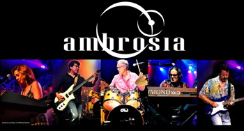 Ambrosia small